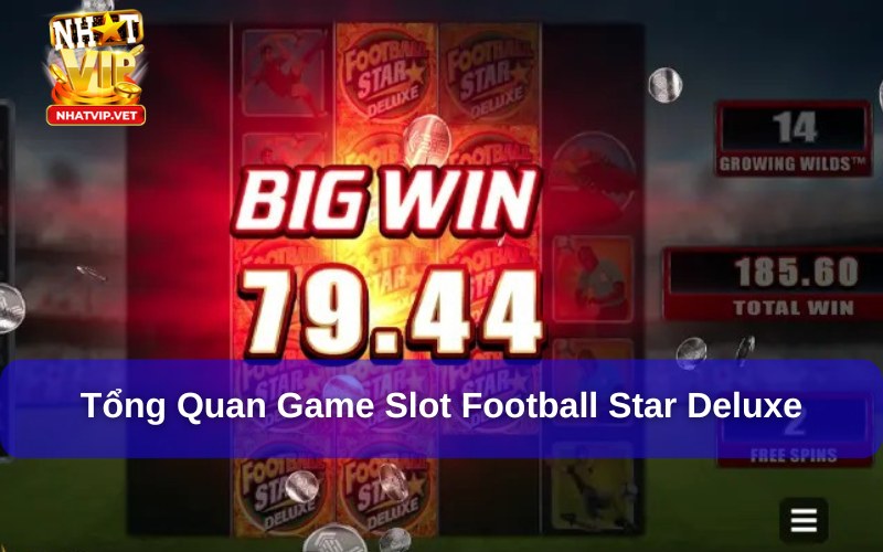 Giới thiệu về Football Star Deluxe